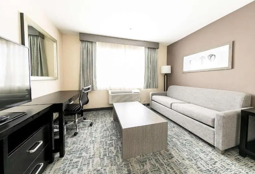 سوئیت با تخت بزرگ, Best Western Inn & Suites San Diego Zoo  Seaworld Area