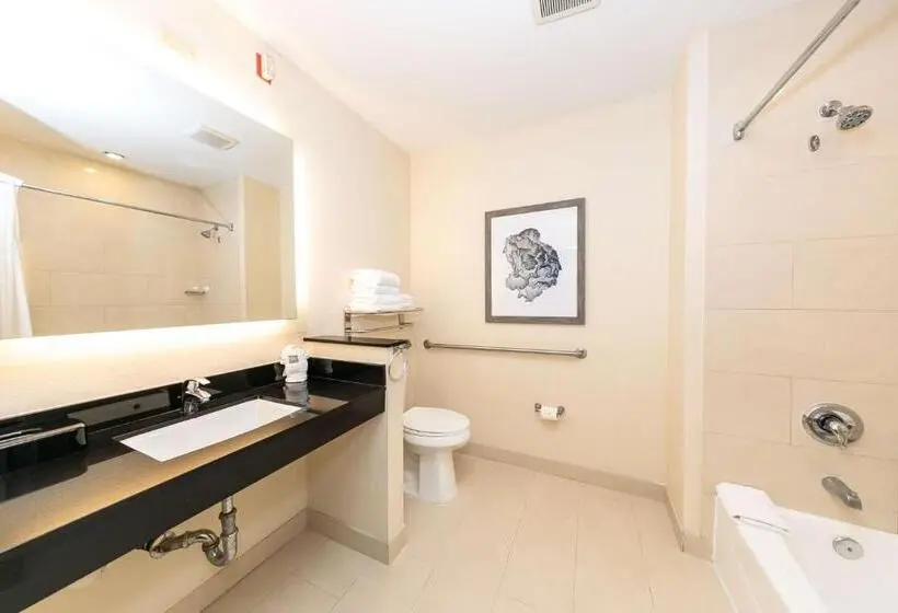 اتاق استاندارد برای معلولان, Best Western Inn & Suites San Diego Zoo  Seaworld Area