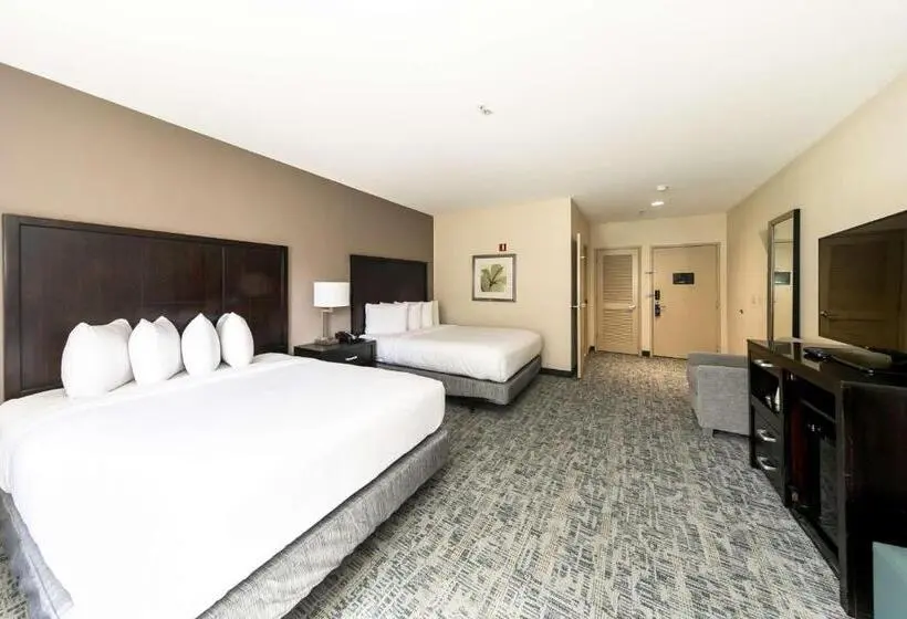 اتاق استاندارد برای معلولان, Best Western Inn & Suites San Diego Zoo  Seaworld Area