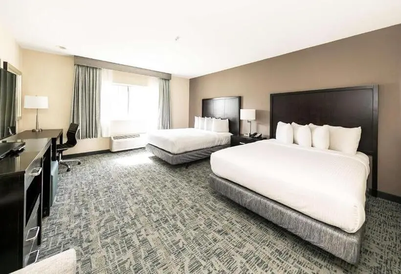 اتاق استاندارد برای معلولان, Best Western Inn & Suites San Diego Zoo  Seaworld Area