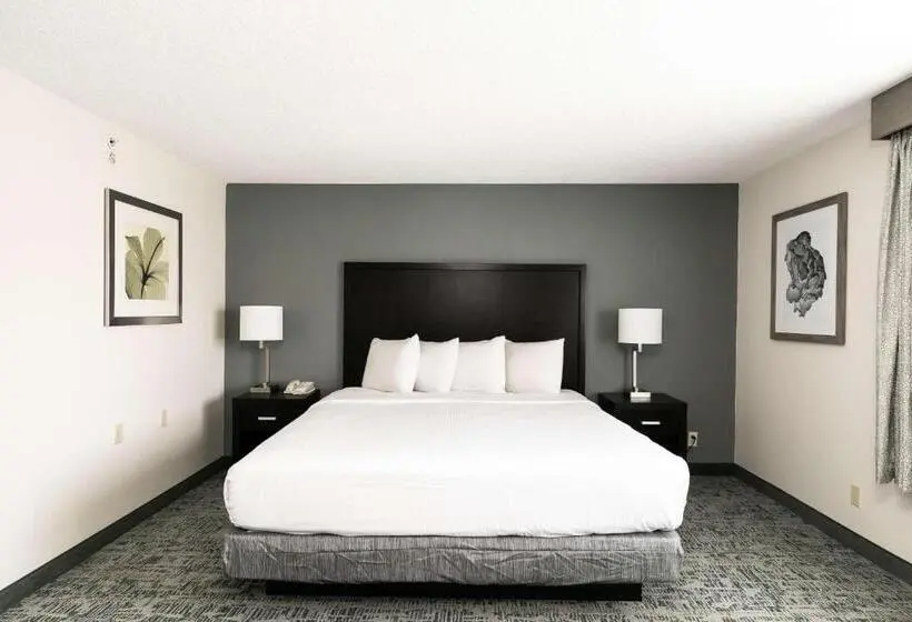 اتاق استاندارد با تخت بزرگ برای معلولان, Best Western Inn & Suites San Diego Zoo  Seaworld Area