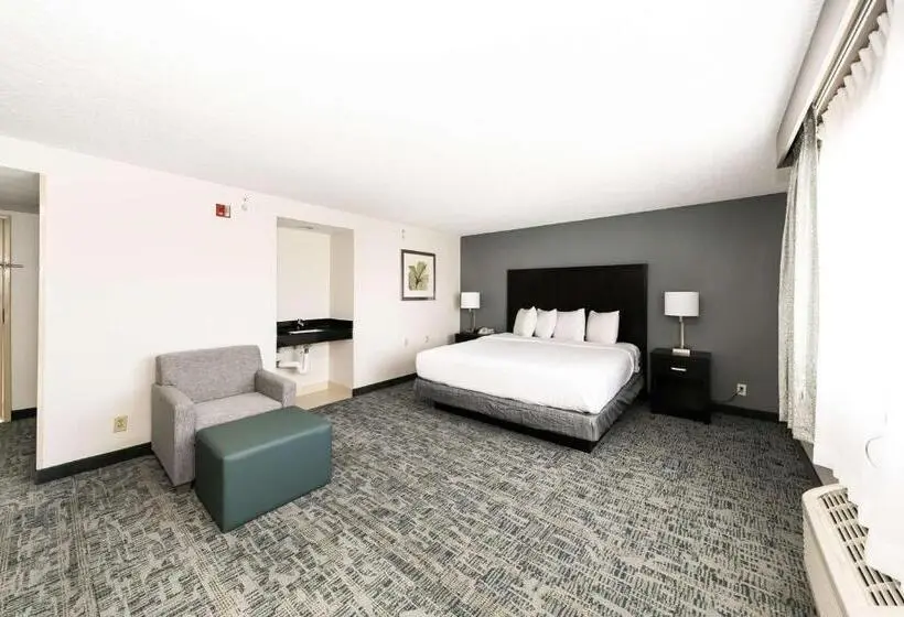 اتاق استاندارد با تخت بزرگ برای معلولان, Best Western Inn & Suites San Diego Zoo  Seaworld Area