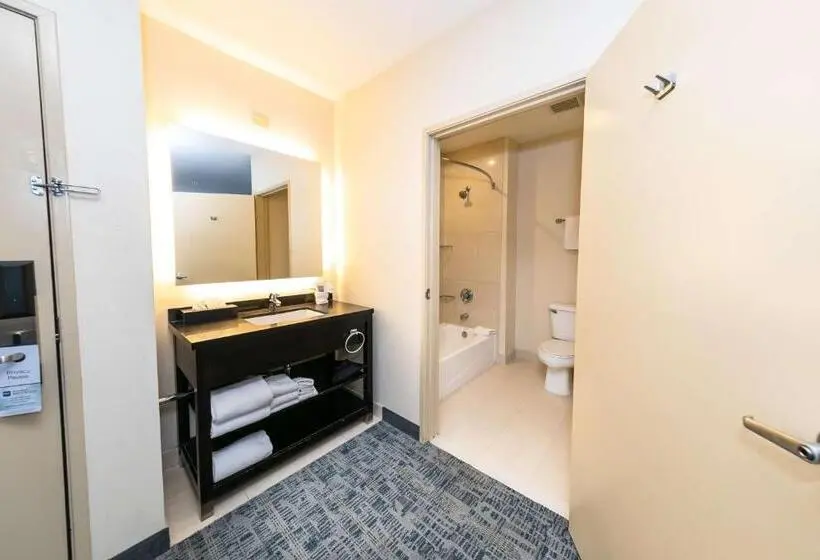 اتاق استاندارد با تخت بزرگ, Best Western Inn & Suites San Diego Zoo  Seaworld Area