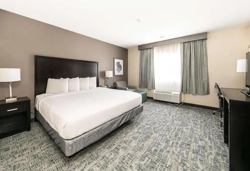 اتاق استاندارد با تخت بزرگ, Best Western Inn & Suites San Diego Zoo  Seaworld Area