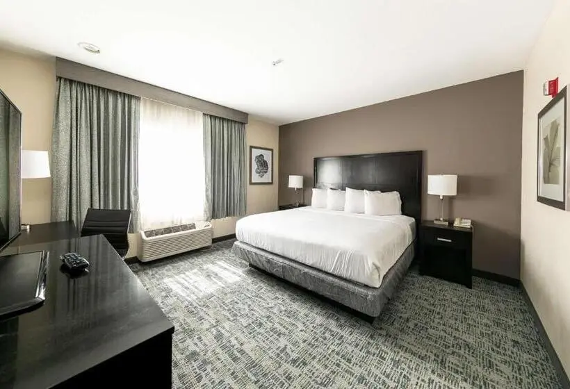 اتاق استاندارد با تخت بزرگ, Best Western Inn & Suites San Diego Zoo  Seaworld Area