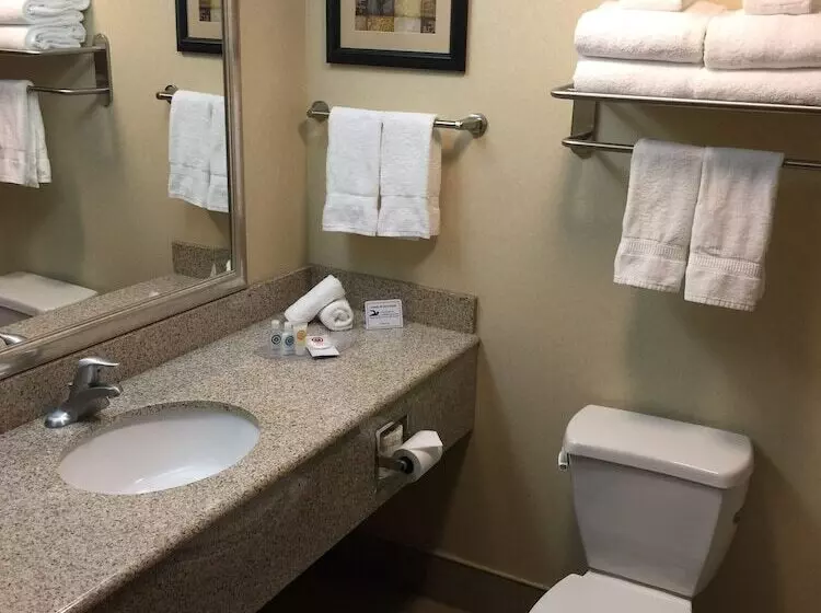 身障者適用スイートルーム, Comfort Suites Near Gettysburg Battlefield Visitor Center