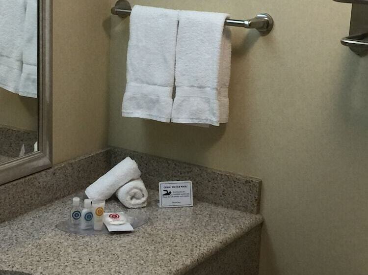 جناح لذوى الاحتياجات الخاصة, Comfort Suites Near Gettysburg Battlefield Visitor Center