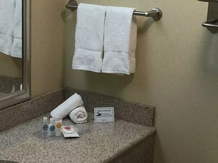 身障者適用スイートルーム, Comfort Suites Near Gettysburg Battlefield Visitor Center