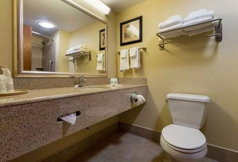 スイート, Comfort Suites Near Gettysburg Battlefield Visitor Center