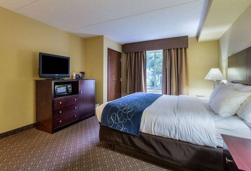 جناح, Comfort Suites Near Gettysburg Battlefield Visitor Center