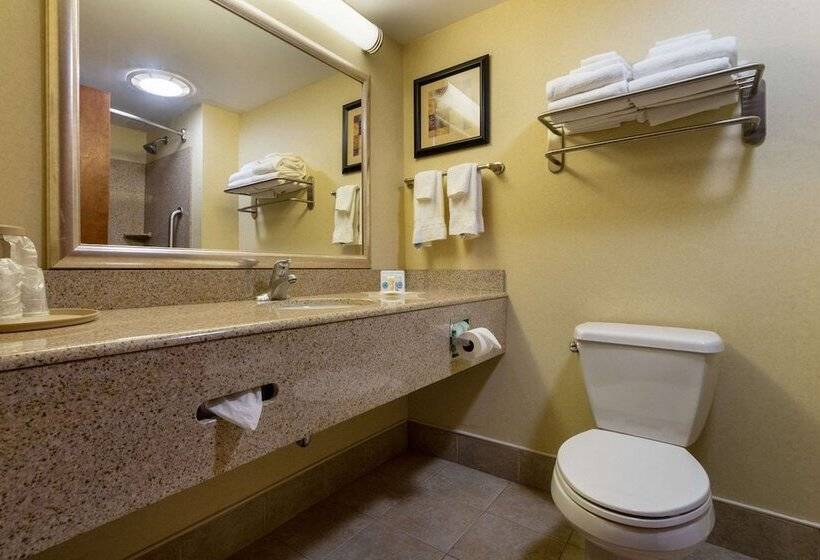 Люкс Адаптированный для Инвалидов, Comfort Suites Near Gettysburg Battlefield Visitor Center