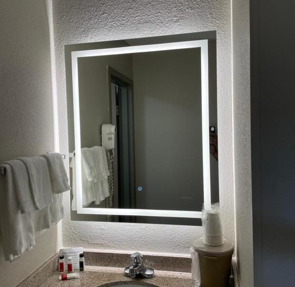 Номер Deluxe, Days Inn By Wyndham Florence Near Civic Center