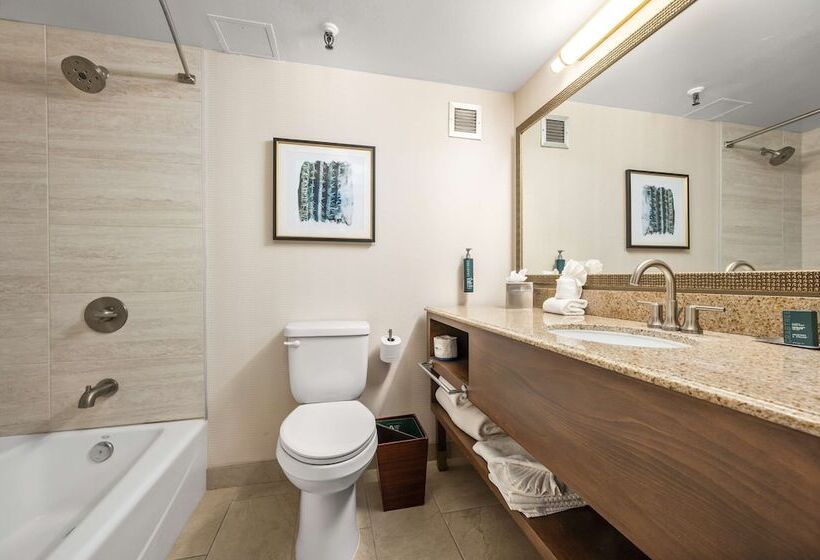 带2个双人床的标准工作室, Doubletree By Hilton Tucson Reid Park