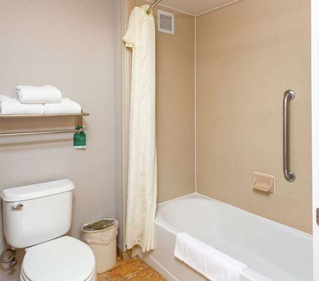 מיטת קינג בסוויטה, Embassy Suites By Hilton Atlanta Galleria