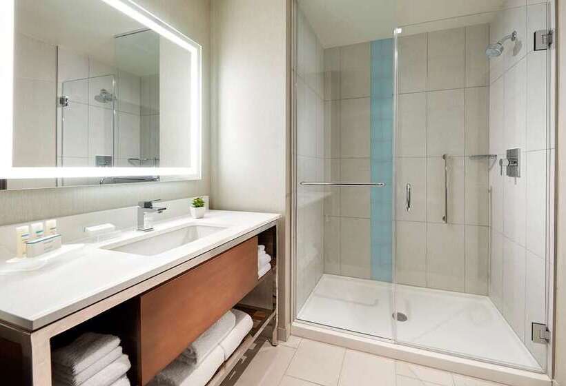 מיטת קינג בסוויטה, Embassy Suites By Hilton Atlanta Galleria