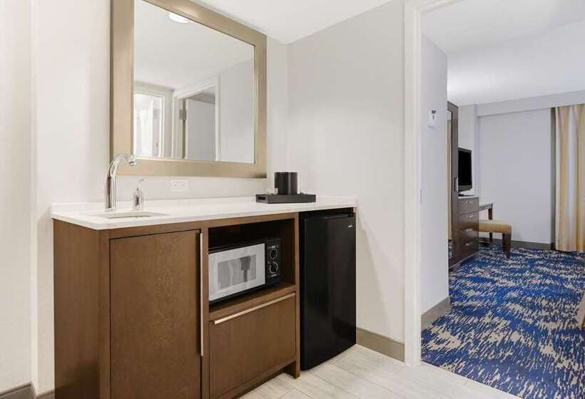 Suite Łóżko King Size, Embassy Suites By Hilton Indianapolis Downtown