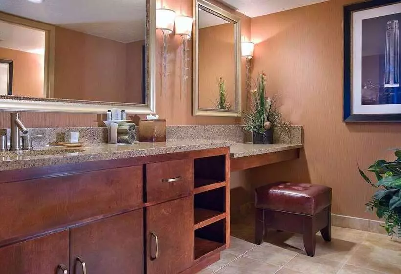 سوئیت با تخت بزرگ, Embassy Suites By Hilton Indianapolis Downtown
