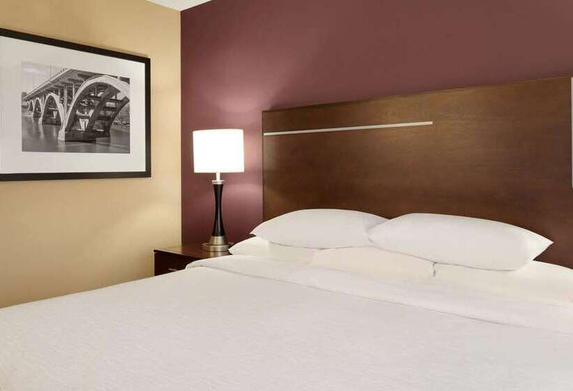 Suite Łóżko King Size, Embassy Suites By Hilton Indianapolis Downtown
