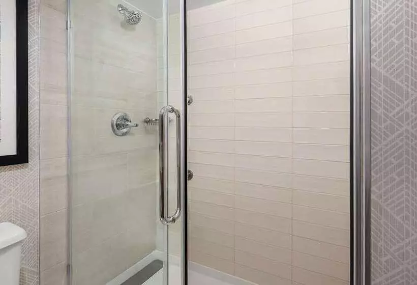 سوئیت پریمیوم, Embassy Suites By Hilton Indianapolis Downtown