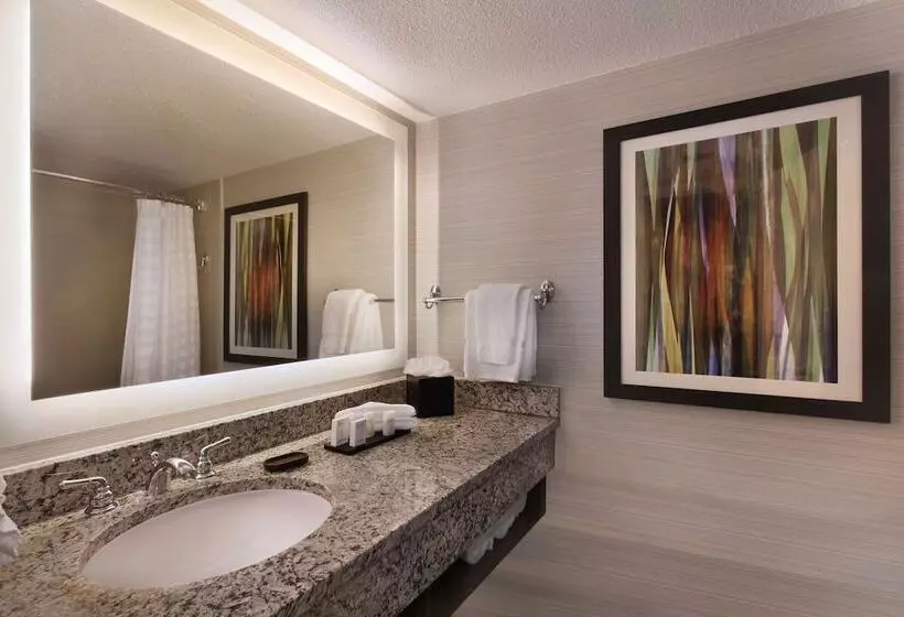 سوییت, Embassy Suites By Hilton Palm Desert