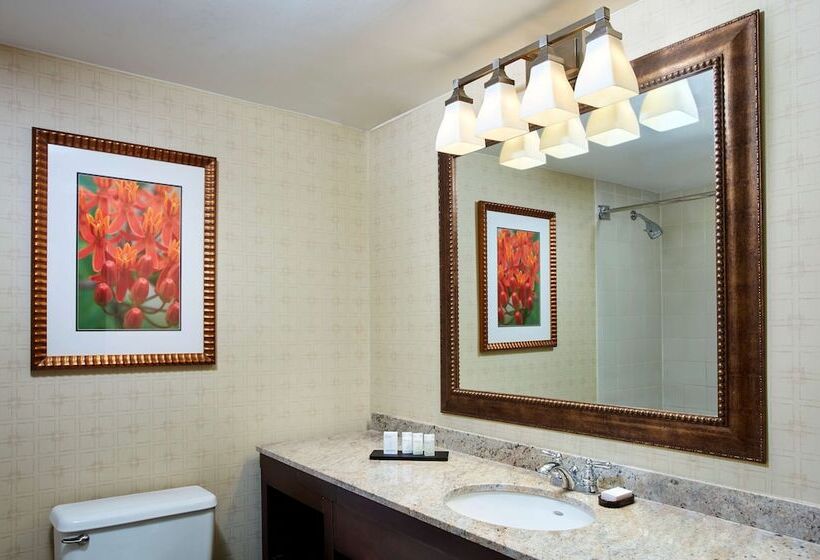 프리미엄 스위트, Embassy Suites By Hilton Parsippany