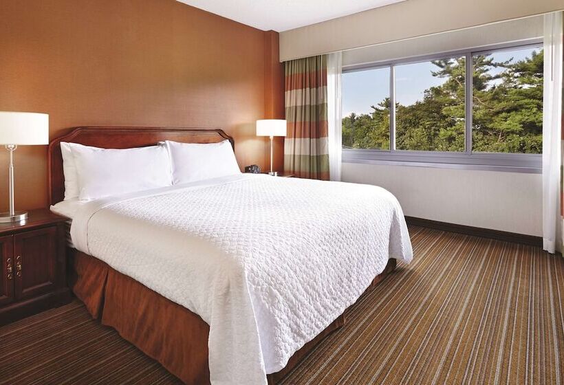 高级套房, Embassy Suites By Hilton Parsippany