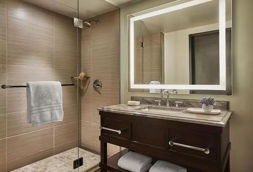 اتاق استاندارد با تخت بزرگ, Four Seasons Hotel Austin