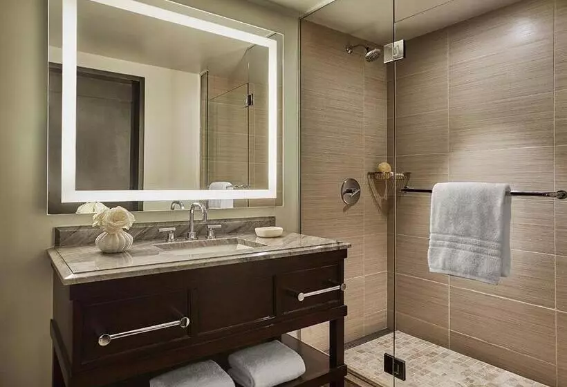 اتاق لوکس با تخت بزرگ, Four Seasons Hotel Austin