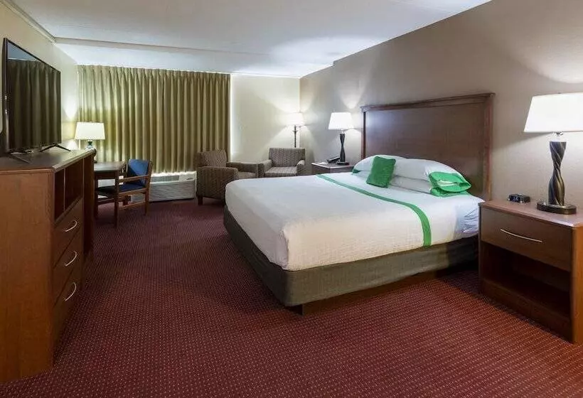 エクゼクティブルーム, Med City Inn & Suites Rochester Mayo Clinic Area