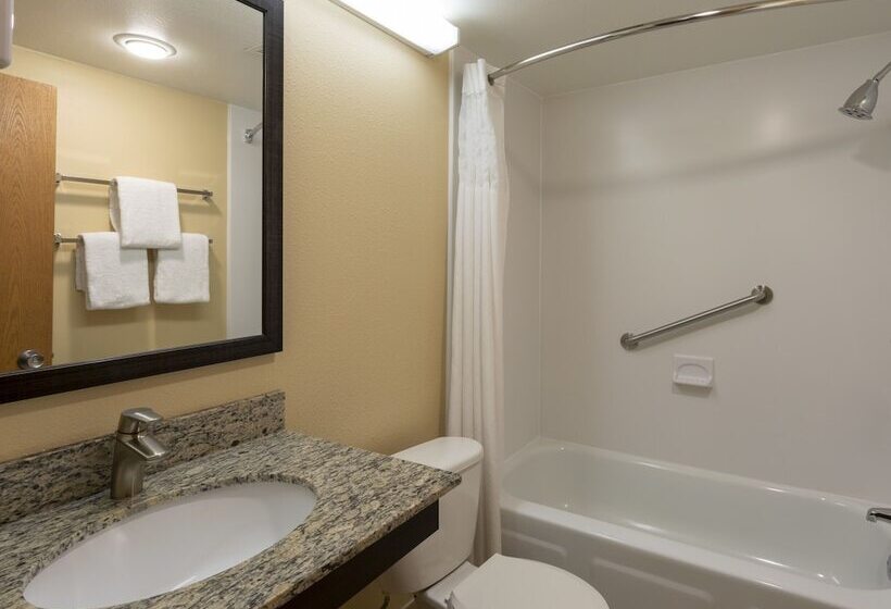 Стандартный Номер Кровать Кинг, Med City Inn & Suites Rochester Mayo Clinic Area