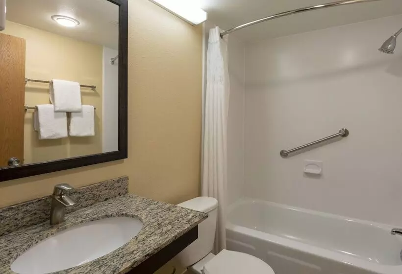キングサイズベッドのスタンダードルーム, Med City Inn & Suites Rochester Mayo Clinic Area