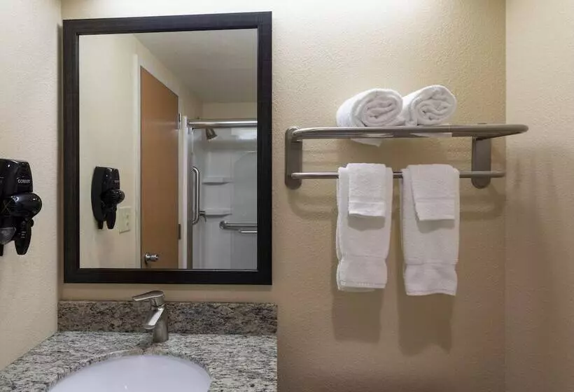 キングサイズベッドのスタンダードルーム, Med City Inn & Suites Rochester Mayo Clinic Area