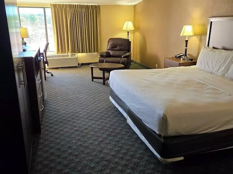 キングサイズベッドのスタンダードルーム, Med City Inn & Suites Rochester Mayo Clinic Area