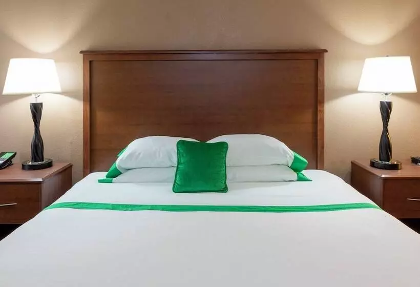 キングサイズベッドのスタンダードルーム, Med City Inn & Suites Rochester Mayo Clinic Area