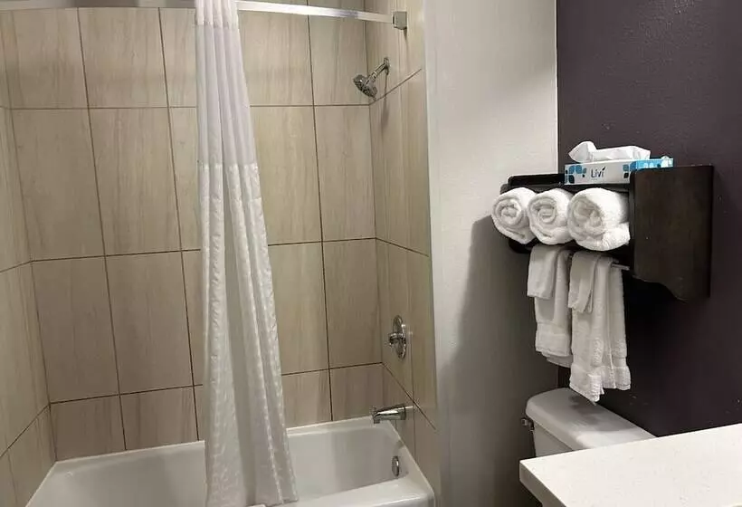 اتاق استاندارد با 2 تخت دوبل, La Quinta By Wyndham Colorado Springs North