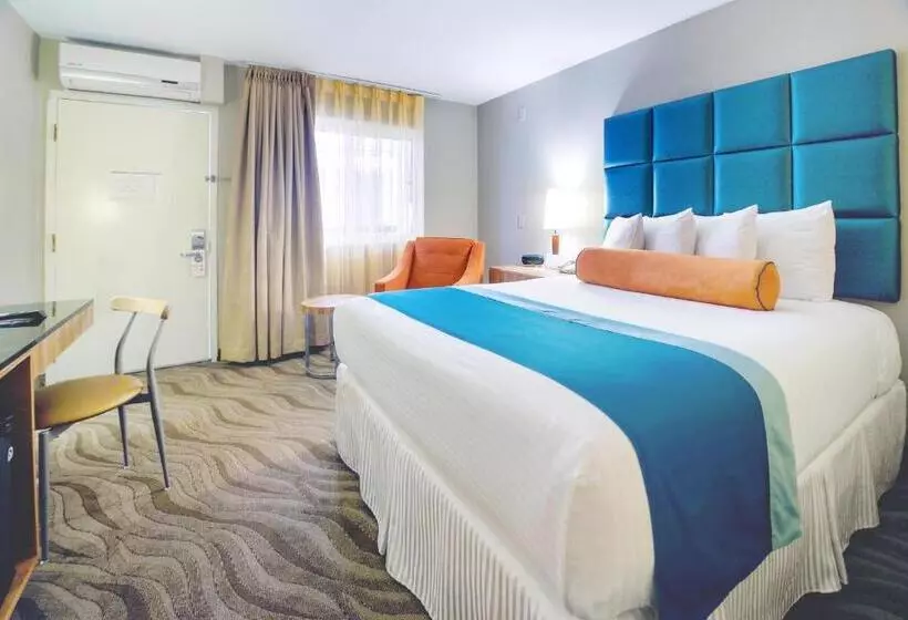 اتاق استاندارد, Porto Vista Hotel In Little Italy