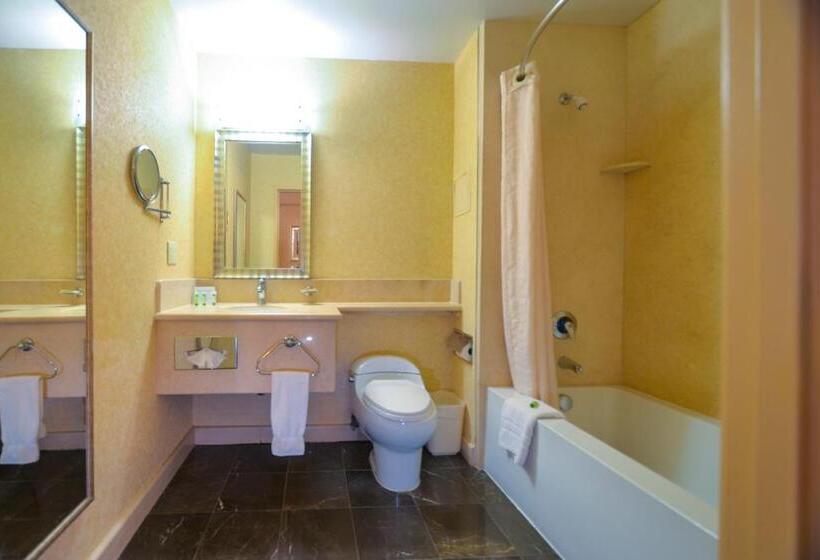 اتاق کلاس بیزنس, Porto Vista Hotel In Little Italy