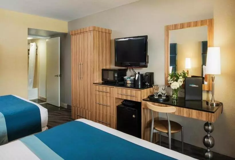 اتاق استاندارد, Porto Vista Hotel In Little Italy