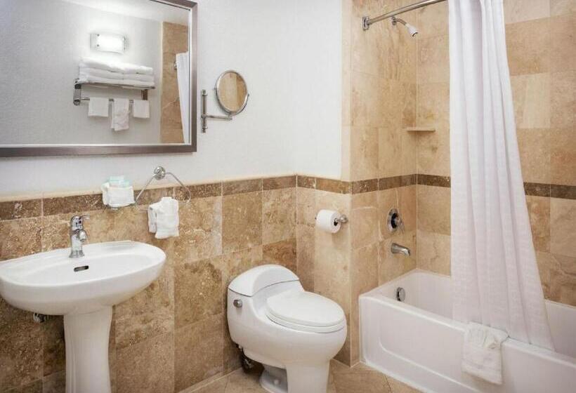 إستوديو قياسى سرير كينج, Porto Vista Hotel In Little Italy