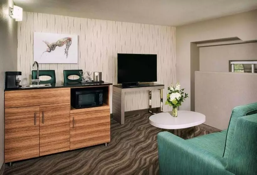 استودیو استاندارد با تخت کینگ, Porto Vista Hotel In Little Italy