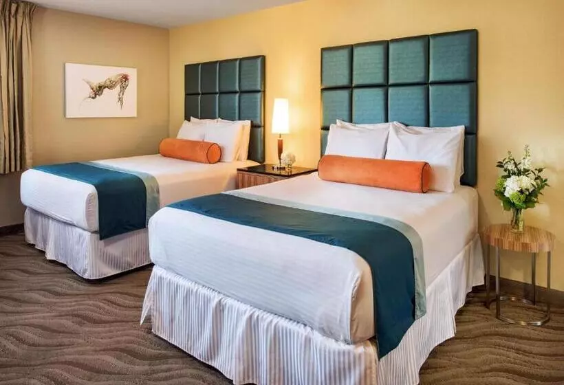 اتاق استاندارد برای معلولان, Porto Vista Hotel In Little Italy