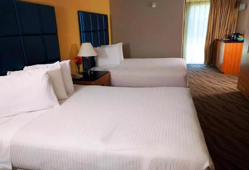 اتاق استاندارد برای معلولان, Porto Vista Hotel In Little Italy