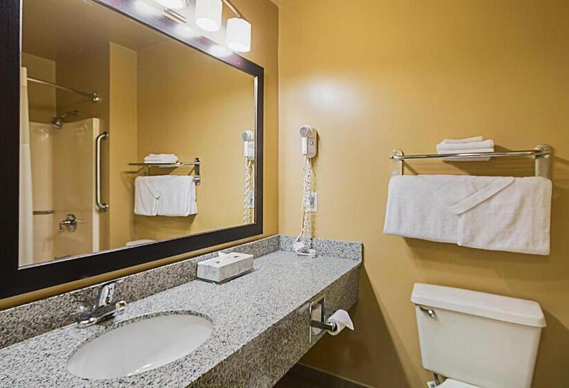 Номер Стандарт 2 Двуспальные Кровати, Quality Inn