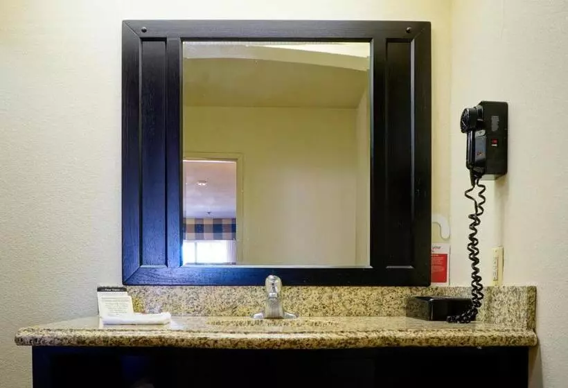 سوئیت با تخت بزرگ, Ramada By Wyndham Ontario