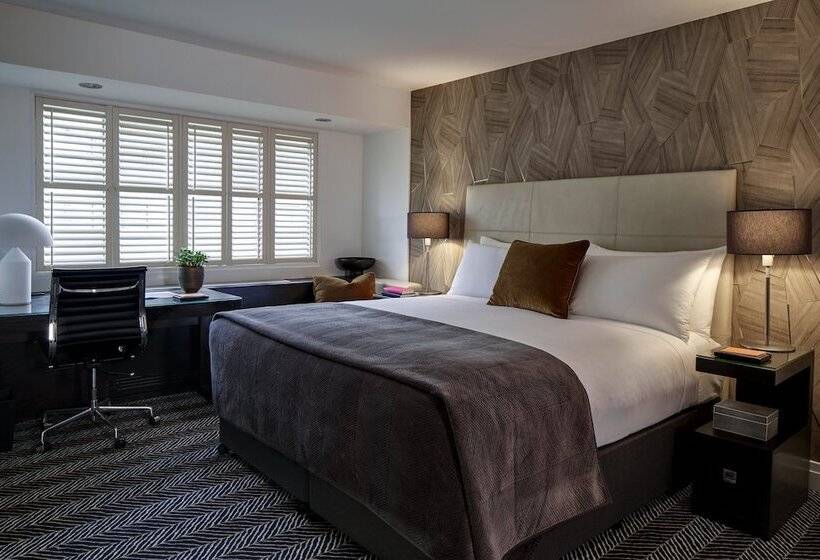 디럭스 룸, The Dupont Circle