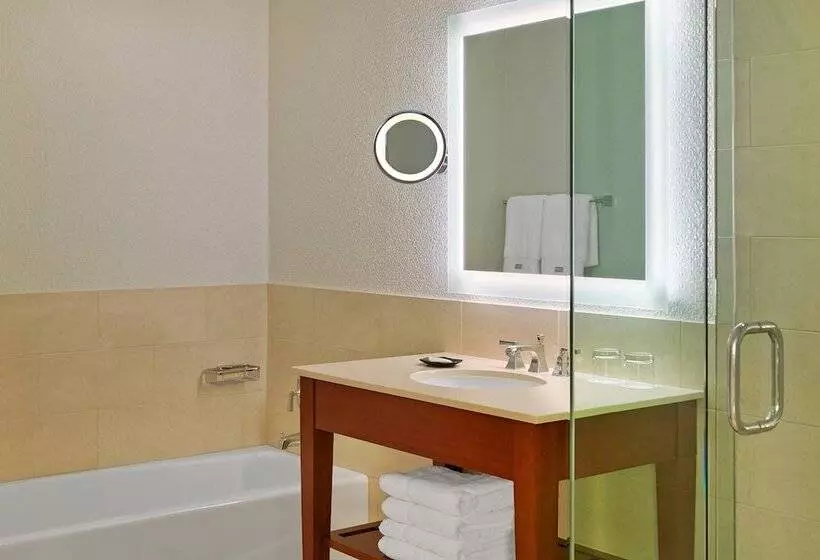 ２ダブルベッドのスタンダードルーム, The Westin Tampa Bay