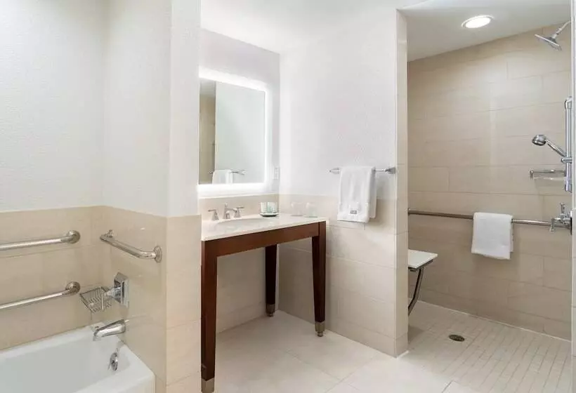 ２ダブルベッドのスタンダードルーム, The Westin Tampa Bay