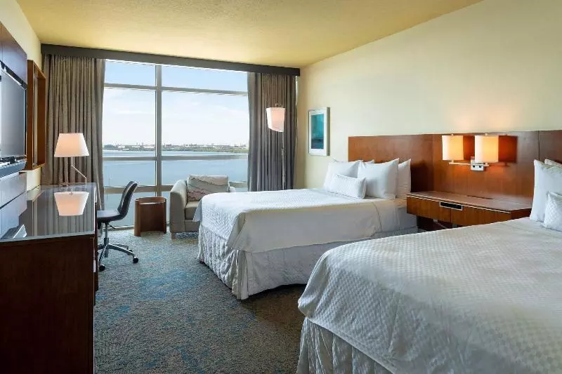 シングルデラックスルーム, The Westin Tampa Bay