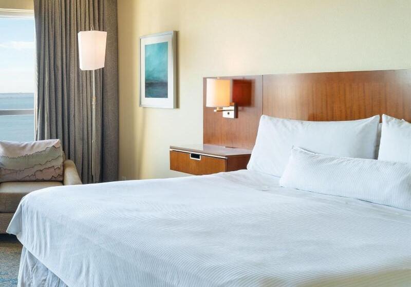 シングルデラックスルーム, The Westin Tampa Bay