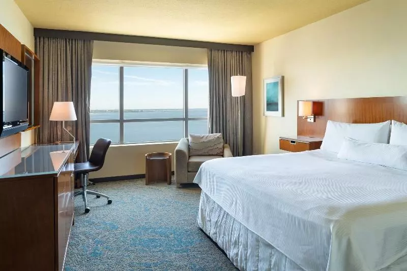 シングルデラックスルーム, The Westin Tampa Bay